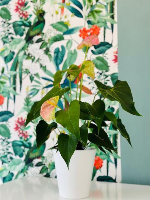 Le Jardin Secret - Jardin/Loire Apartment ตูร์ ภายนอก รูปภาพ
