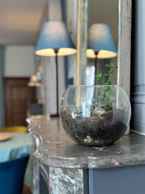 Le Jardin Secret - Jardin/Loire Apartment ตูร์ ภายนอก รูปภาพ